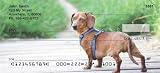 Diminutive Dachshunds Personal Checks