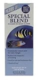 Special Blend 16oz Aquarium