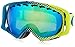 Oakley Crowbar Gogggles