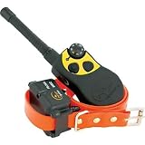 Hunting: SportDOG Brand Field Trainer SD800