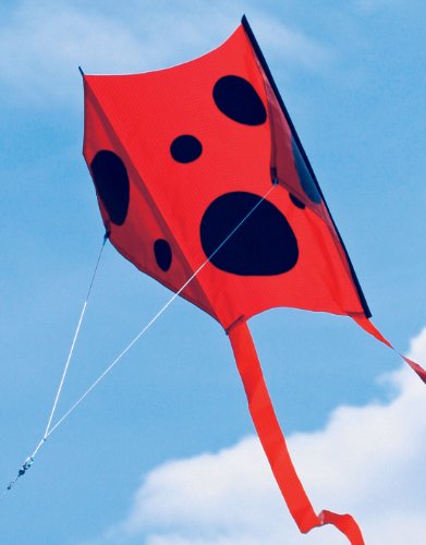 Mini Sled Ladybug Single Line Kite Mini Sled Ladybug Single Line Kite
