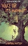 Wake up, it's midnight! : a Naitabal mystery