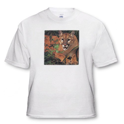 Florida Rare Panther - White Infant Lap-Shoulder Tee (24M)