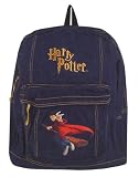 Harry Potter Flying Game Backpack