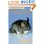Pet Owner's Guide to the Chinchilla