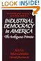 Industrial Democracy in...