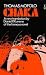Beginners Guide To African Literature