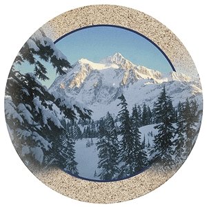 Set of Four Winter Splendor Coasters - Style TS2182 by Thirstystone