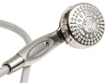 Waterpik TRS-559 Elements 5-Mode Handheld Shower, Brushed Nickel