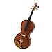 Cecilio CVA-400 Handmade Rosewood Fitted Viola Outfit - 12 Inches
