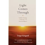 Light Comes Through: Buddhist Teachings on Awakening to Our Natural Intelligence