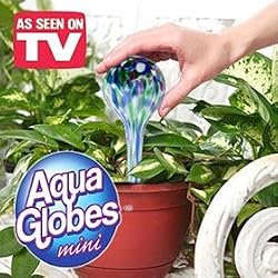 Aqua Globes Mini- Set of 3