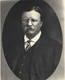 President Theodore Roosevelt, Art Poster by National Archive