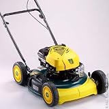 6-HP, 20-In. Mulching Mower