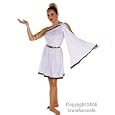 Adult's Short Toga Costume