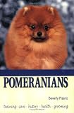 Pomeranians