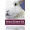 The Large White Rabbit - playful pooka or cosmic trickster?
