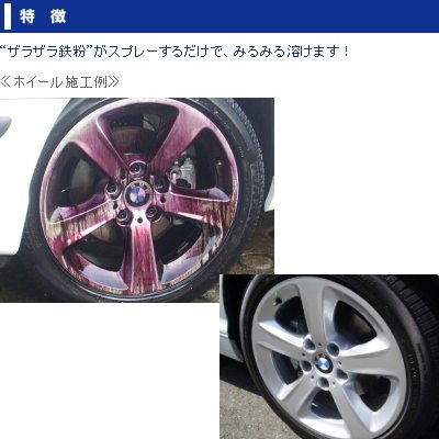 洗車の王国 オリジナル鉄粉除去剤『アイアンカット』800ml 915