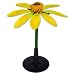 3B Scientific T21017 Celandine (Ficaria Verna), 15.4" Height
