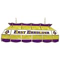 East Carolina State University Stained Glass Lighting Fixture