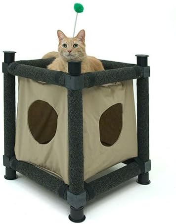 Kitty Clubhouse