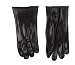 Tools & Hardware : Ace Liquid Proof Gloves (0243-01) pair