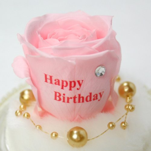 メッセージローズ (Preserved Rose) ローズドーム S1~情熱のラブジャック アトミック~ピンク 【バースデイストーン☆4月】【Happy Birthday】 22243