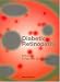 Diabetic Retinopathy