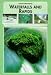 Waterfalls and Rapids (Natural Phenomena of the World)