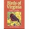 The World is Going to The Birds
