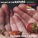 The Gift of the Nature