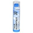 Boiron Homeopathic Medicine Thuja Occidentalis, 30C Pellets, 80-Count Tubes (Pack of 5)