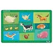 Crocodile Creek Barnyard Placemat
