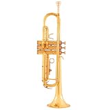 Gibson Baldwin Music Education Trumpet Kit - GBTRBR - B000F7RHE0