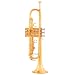 Musical Instruments : Gibson Baldwin Music Education Trumpet Kit - GBTRBR