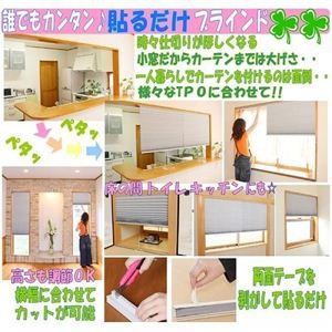 Ｒｅｄｉ Ｓｈａｄｅ（貼るブラインド）ライトグレー