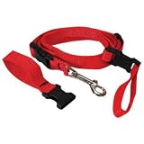 The Buddy System - Hands Free Leash - Regular Dog System - Black Extend-A-Buddy