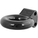 CURT 48601 Adjustable Lunette Eye