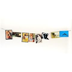 HAB&GUT - MC006 - Fotoseil Set waagerecht 120cm 8 Magnete