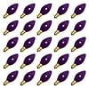 Vickerman 10072 - C7 Candelabra Screw Base Ceramic Purple 25 Pack Christmas Light Bulbs (V471756)