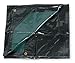 Tarp, Nylon, Vinyl Lam, Black/Green, 6x10Ft