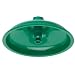 Haws SP829 Axion MSR ABS Plastic Drench Shower Head with Integral Flow Control, Green
