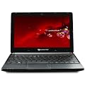 Packard Bell DOTS-C-262G32nkk 25,7 cm (10,1 Zoll) Netbook (Intel Atom N2600, 1,6GHz, 2GB RAM, 320GB HDD, Intel GMA 3600, kein Betriebssystem) schwarz