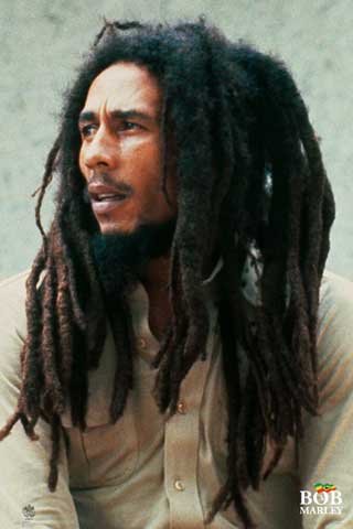 Empire 343284 Marley. Bob - Lion - Reggae Poster - 61 x 91.5 cm Preisvergleich
