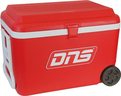 FANCL blueberry 15.1g (about 60 grains) [Personal Care]