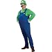Rubie?s Costume Co Super Mario Brothers Deluxe Luigi Costume, Red, Plus