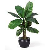 Silk Banana Palm Tree with Black Vase 22 &acute; - B001DQH5C6