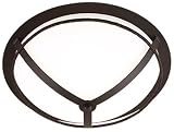 Berkshire Environmental 15 1/2 Wide Outdoor Ceiling Light