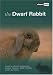 The Dwarf Rabbit: A Guide to Selection, Housing, Care, Nutrition, Behaviour, Health, Breeding, Species and Colours (About Pets)