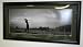 Tiger Woods Golf Framed Sweet Swing Photograph Picture Panoramic Black & White